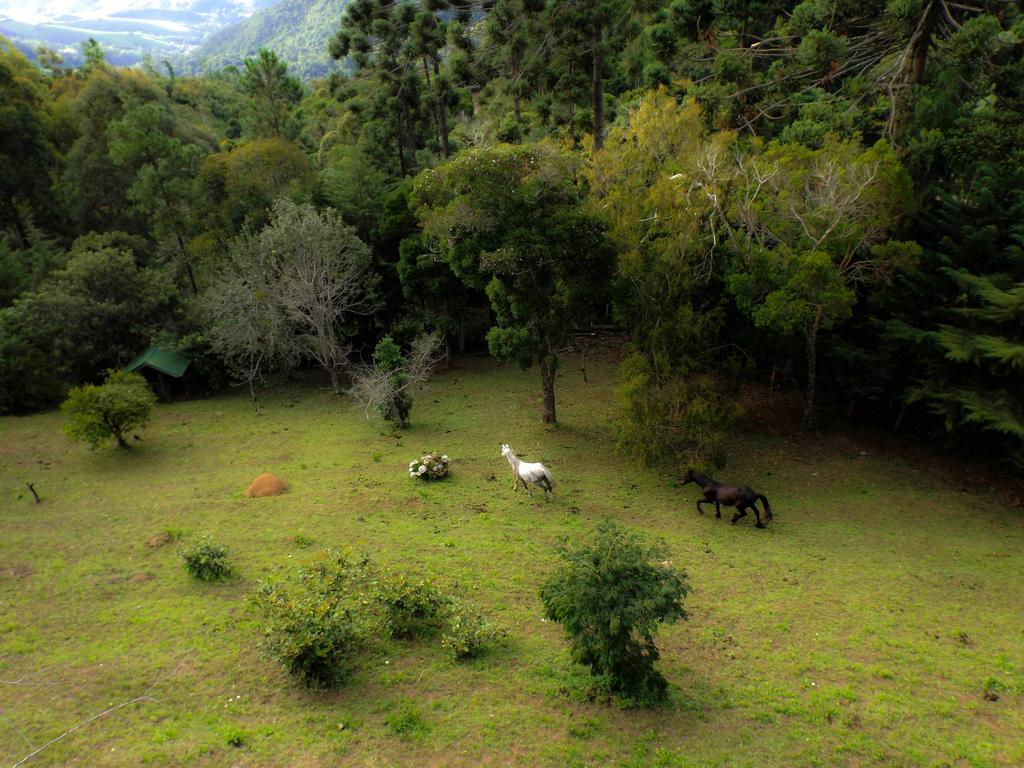 Pousada Marco Polo Campos do Jordão Exteriér fotografie